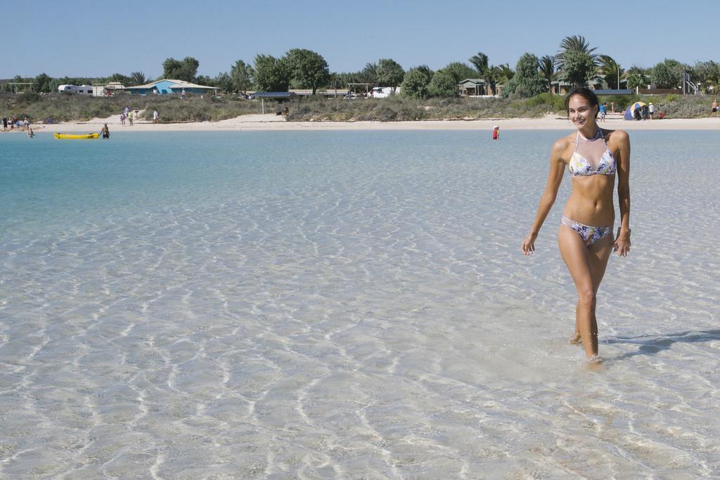 Ningaloo Reef Resort Coral Bay Exteriör bild