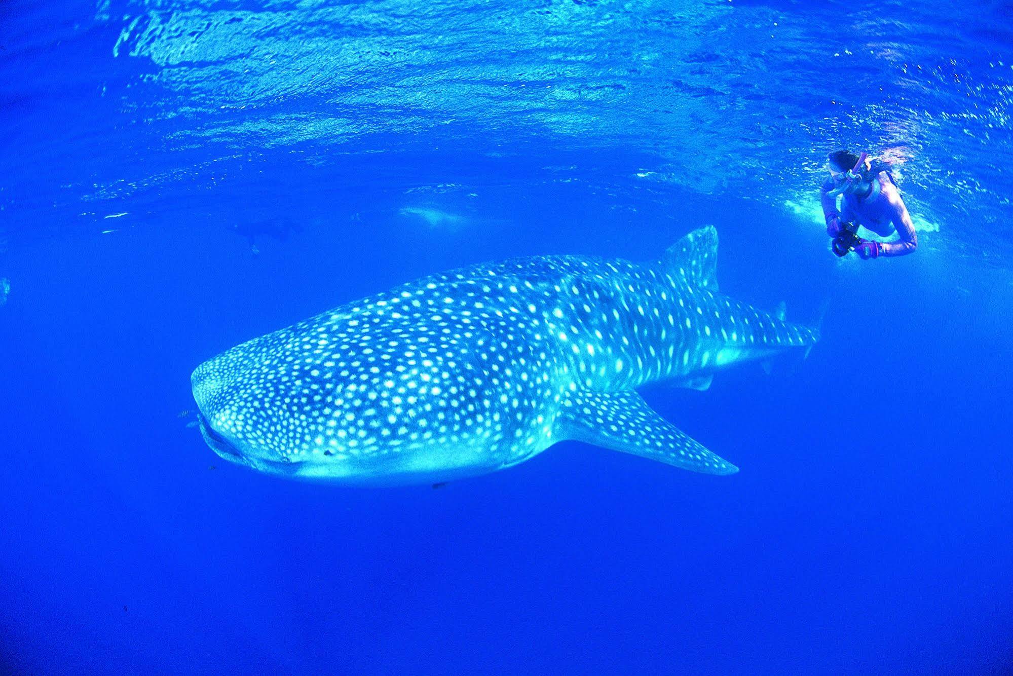 Ningaloo Reef Resort Coral Bay Exteriör bild